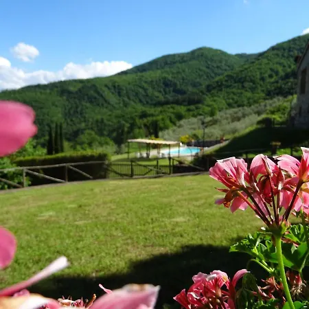 Farm stay Agriturismo Casa Degli Ulivi