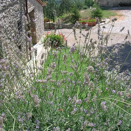 Agriturismo Casa Degli Ulivi Farm stay Barberino di Mugello