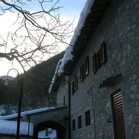 Farm stay Agriturismo Casa Degli Ulivi